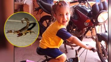Niña de 3 años muere después de que un escorpión le picara en la espalda mientras dormía en su cama