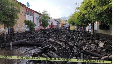 Apunta tragedia en Jalisco a aguacateros 