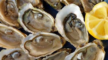 Investigan relación de ostras de Sonora con casos de enfermos en Estados Unidos
