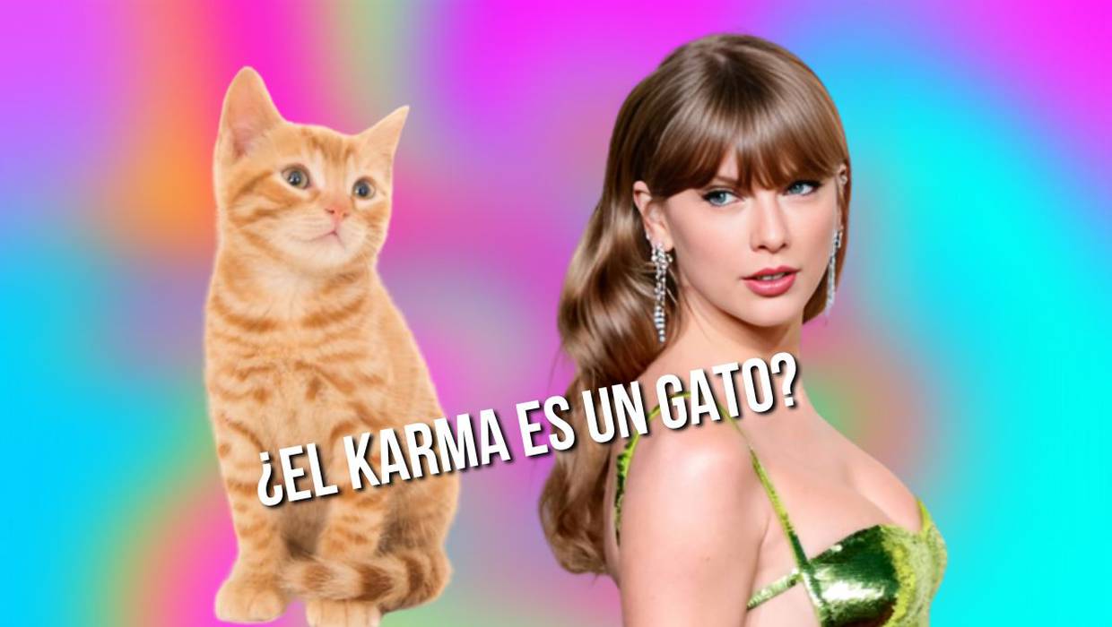 ¿Por qué se ha vuelto viral en TikTok la frase “el karma es un gato”?