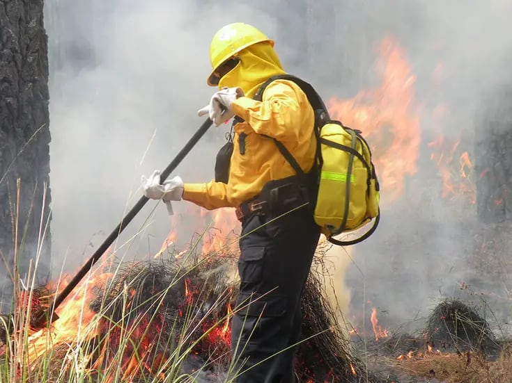 Más de 90 incendios activos en 18 estados de México: Conafor 