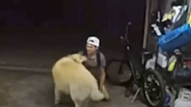 Ladrón acaricia a perro antes de cometer un robo: "El perro más genial que he conocido"