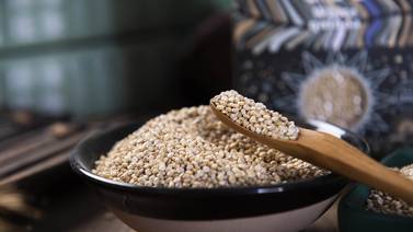 ¿Conoces los beneficios de la quinoa, semilla recomendada por la OMS y la FAO?