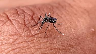 Disminuyen 80% casos de dengue en Sonora este año