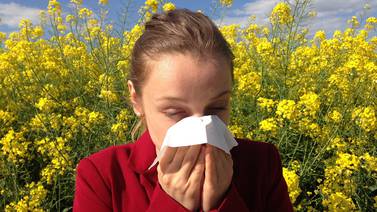 ChatGPT te da recomendaciones para prevenir alergias