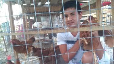 Joven sanfelipense vende animales de granja para pagar sus estudios