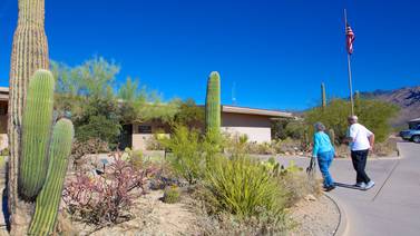 Suma Tucson Arizona 26 muertes por calor extremo