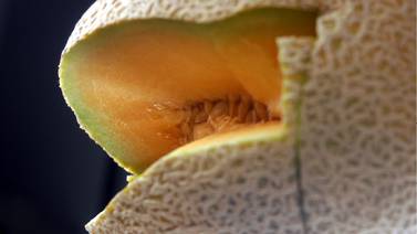 Cierran empresa de Sonora donde se procesó el melón vinculado a brotes de salmonela en EU y Canadá