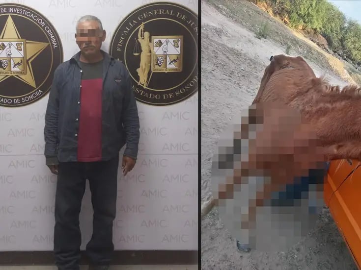 Detienen a hombre por abusar de una yegua en Hermosillo