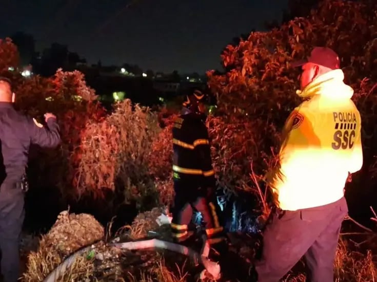 Bomberos de la CDMX sofocan incendio en bosque de Chapultepec