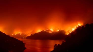 Día mundial de la prevención de incendios forestales: ¿Cómo prevenir incendios forestarles?