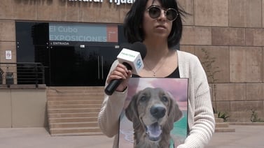 Emprendedor Fest Tijuana apoyará a perritos rescatados