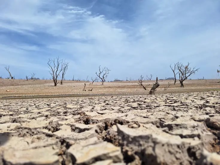 Le ‘pega’ la sequía a comunidades y colonias de Álamos
