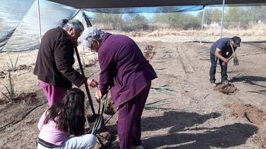 Rompiendo barreras: Francisca crea cooperativa para emplear a otras mujeres y conservar agave