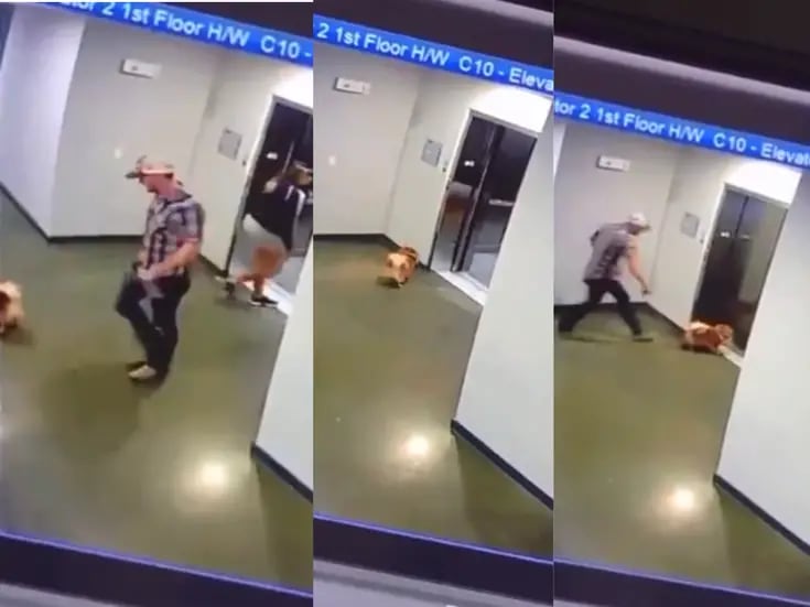 Video: Hombre rescata a perrito de morir estrangulado tras quedar atrapado en elevador