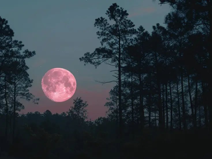 ¿Qué es y cuándo se podrá ver la Luna Rosa 2024? 
