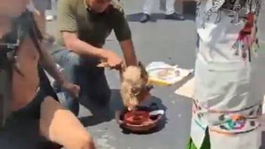 Senador de Morena sacrificó una gallina por ritual a Tláloc en patio del Senado