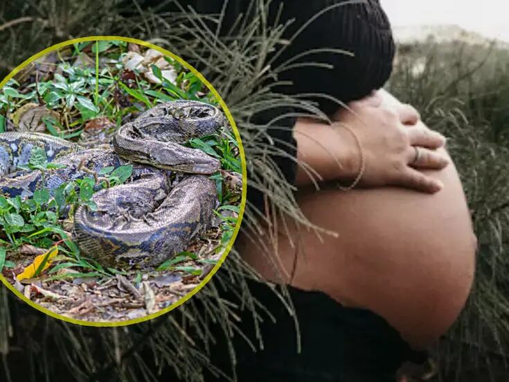 Mujer embarazada muere mordida por la serpiente más mortífera del mundo en Árica