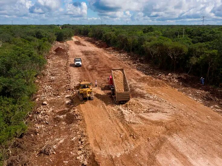 Más de 7 millones de árboles talados para la construcción del Tren Maya