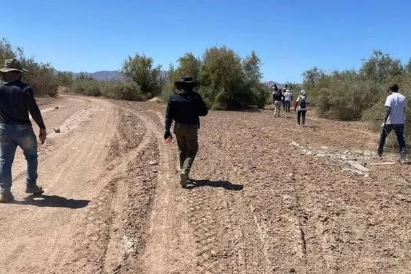 Realizarán Quinta Brigada de búsqueda en Baja California 