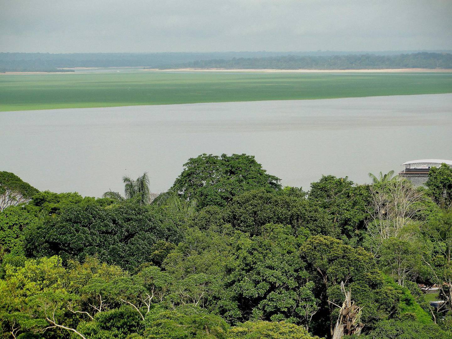 Fotografía de archivo que muestra una panorámica de selva y río desde Manaos, Amazonas (Brasil). EFE/ Marianna Wachelke /ARCHIVO
