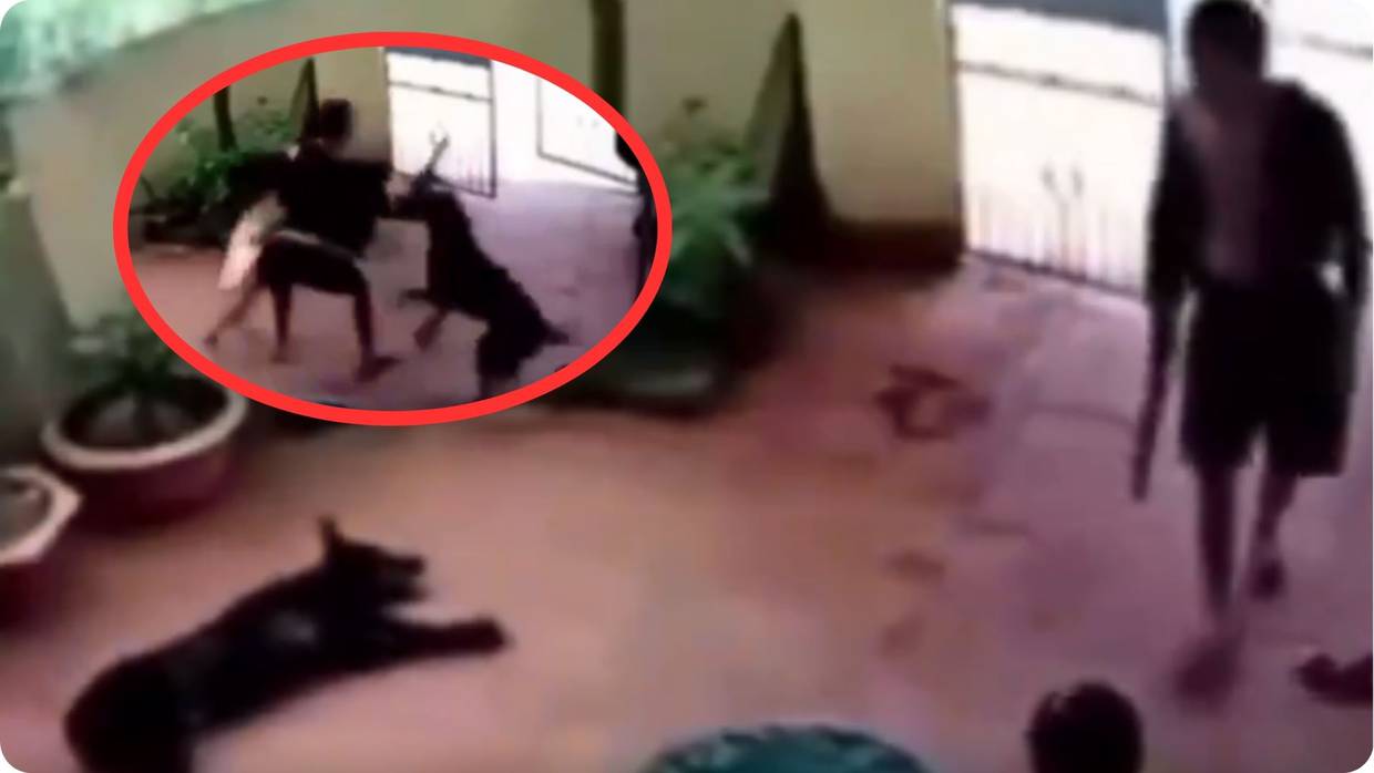 La escena, capturada en una casa, revela el instante en que el delincuente ingresa con una pistola, apuntando hacia la menor | Captura de video