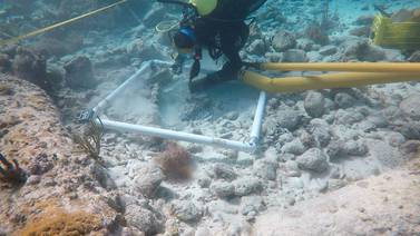 Arqueóloga analizará patrimonio cultural subacuático de BC