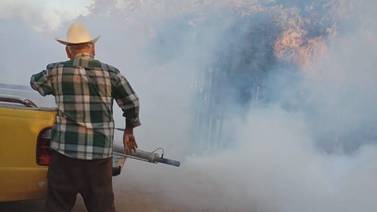 Dengue en Sonora: Regresa serotipo 2 con síntomas más graves