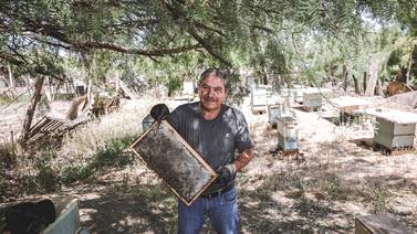 ‘’Mi deber es preservarlas y conservarlas’’: José de Jesús, apicultor de Mexicali