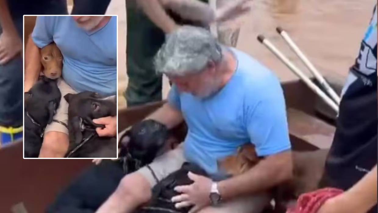 Rescatistas y lugareños ayudaron a un hombre a salvar a sus perritos de las inundaciones en Brasil. | Especial