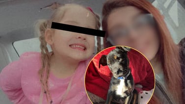 Niña de 4 años en condición crítica tras feroz ataque canino; su madre, quien contaba con orden de restricción, se escondió de la policía