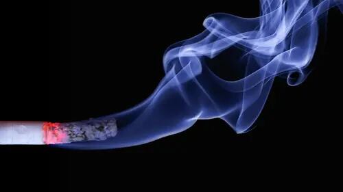 RU aprueba en primera lectura ley para prohibir la compra de tabaco
