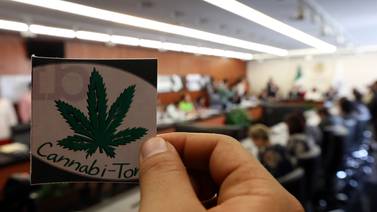Legalización de cannabis: Necesario impartir pláticas a jóvenes sobre consecuencias, dice Ccspt