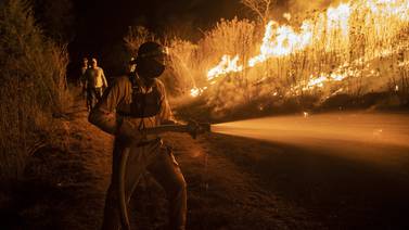 México tiene más de 100 incendios forestales activos, advierte Conafor