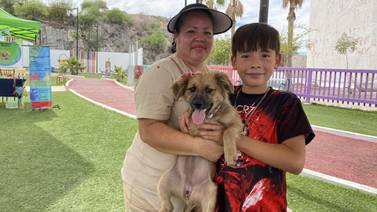 Conoce a “Morita”, una de las cachorras de la Feria de la Adopción en Hermosillo