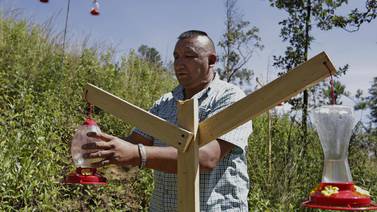 Activista contruye santuario para proteger a los colibríes en Puebla