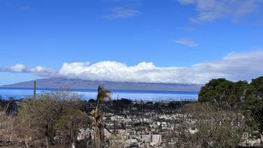Hawái: Incendios en Maui han dejado al menos 115 muertos y 388 desaparecidos