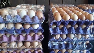 Precio del huevo en Sonora no aumentará por gripe aviar 
