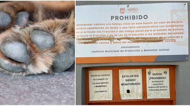 Hermosillo: Dejan al día hasta 30 mascotas muertas en buzón de Protección y Bienestar Animal