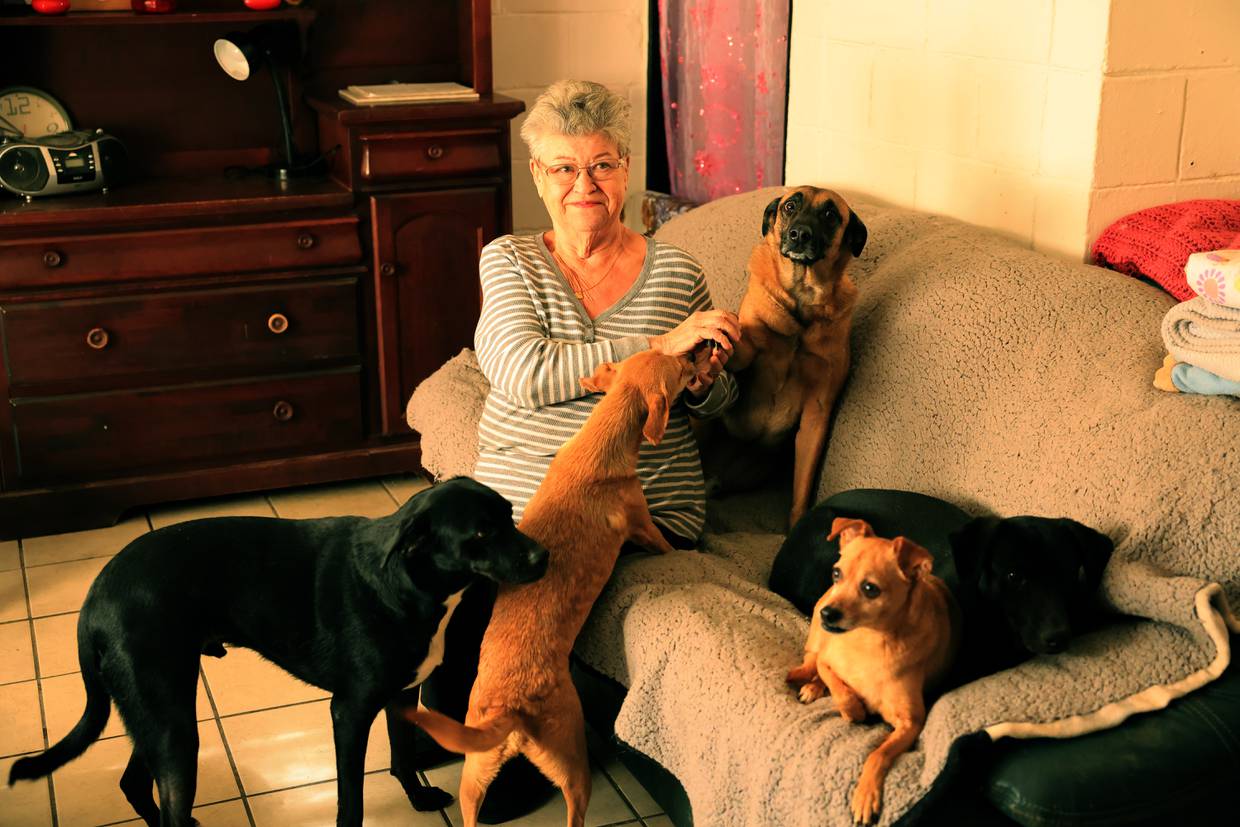 Maestra de francés de 72 años Claudine Monthurel-Henry busca hogar para sus perritos