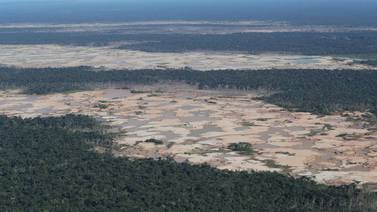 Inician "plan de arranque" para detener la deforestación en la Amazonía