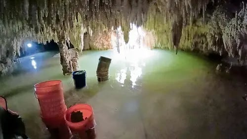 Tren Maya dañó cavernas en Tramo 5 Sur: Profepa