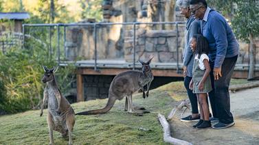 Adultos mayores entran gratis en Safari Park