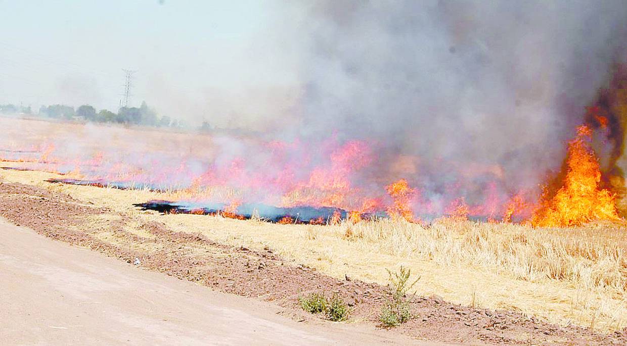 Las autoridades cajemenses no han podido detener la quema de gavilla.