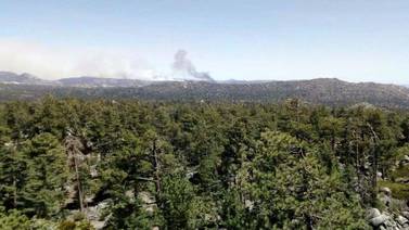 Continúa incendio forestal en Sierra San Pedro Mártir