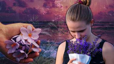 El fascinante sentido del olfato: 10 datos interesantes que quizás no conocías de este sentido a menudo subestimado