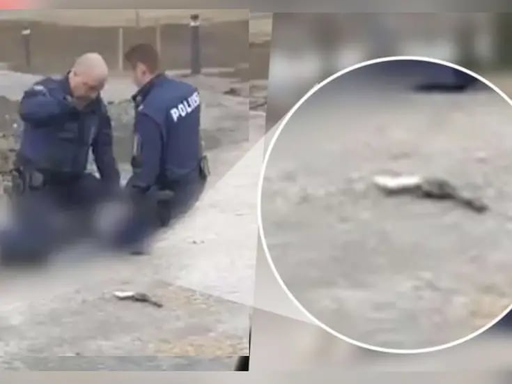 Niño de 12 años mata a compañero de escuela en Finlandia tras tiroteo; hirió a otros 2