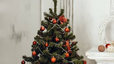 ¿Cómo reutilizar el árbol de Navidad?