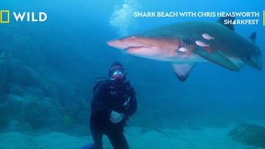 Chris Hemsworth estrena documental sobre tiburones en NatGeo