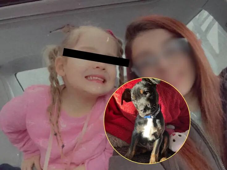 Niña de 4 años en condición crítica tras feroz ataque canino; su madre, quien contaba con orden de restricción, se escondió de la policía
